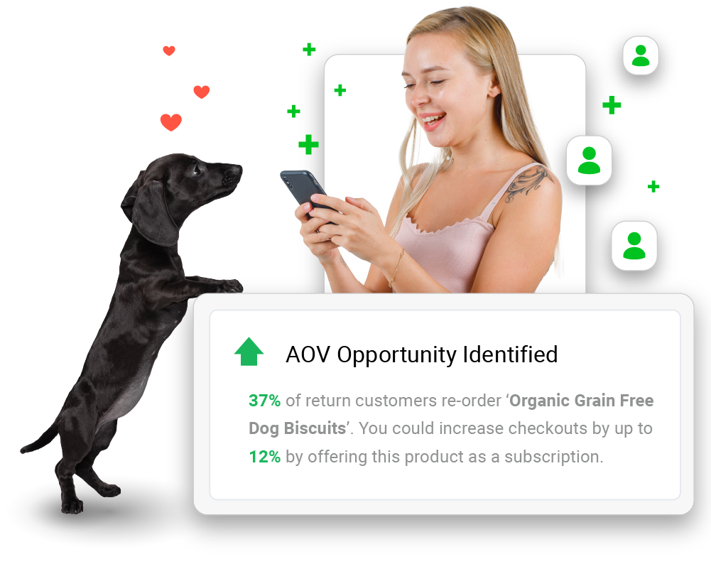 screenshot of Evolv AI